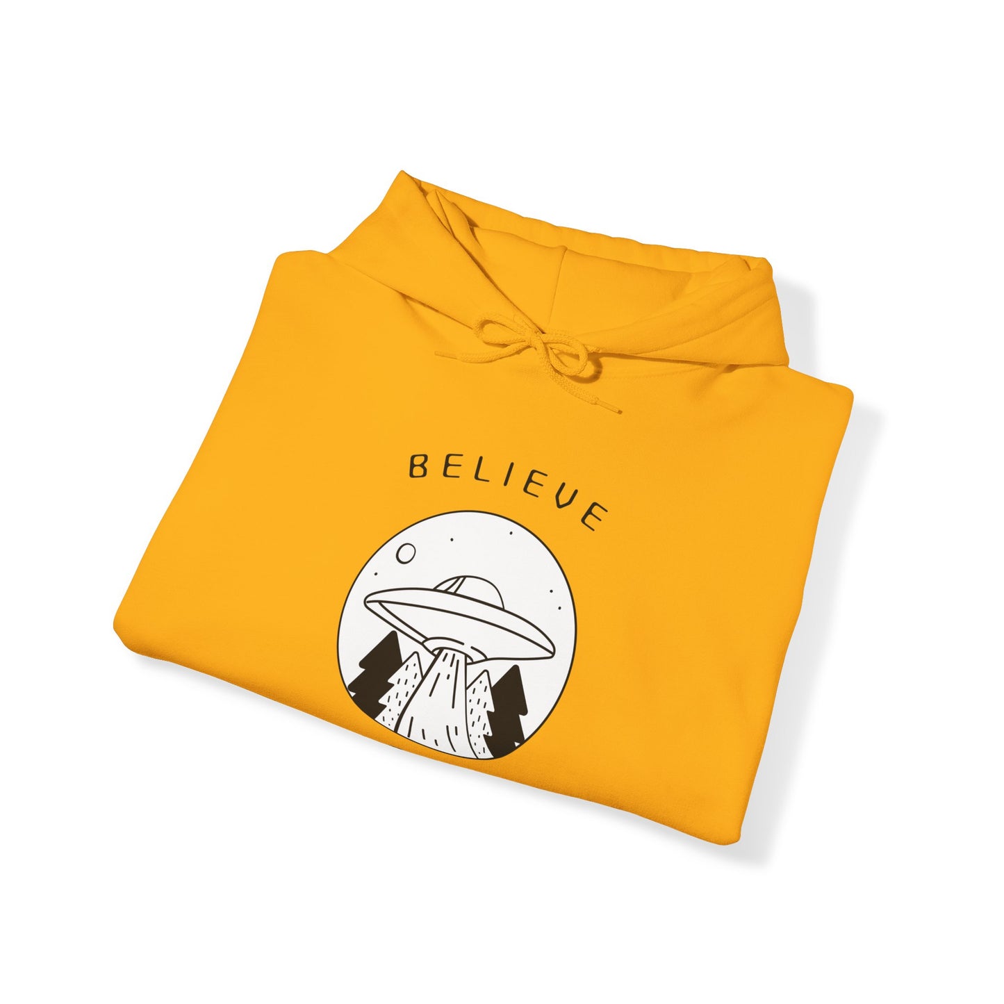 BELIEVE DAT HOODIE
