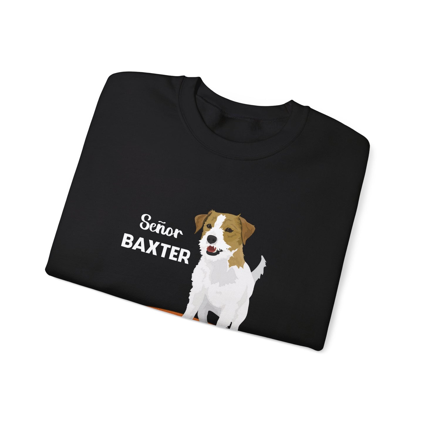 SENOR BAXTER Sweatshirt